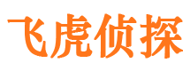 雷波侦探公司